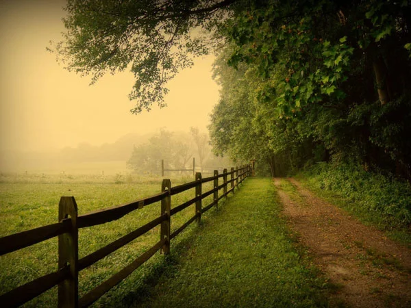 liquor license pennsylvania