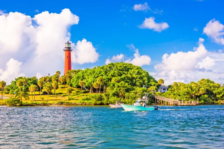 liquor license florida