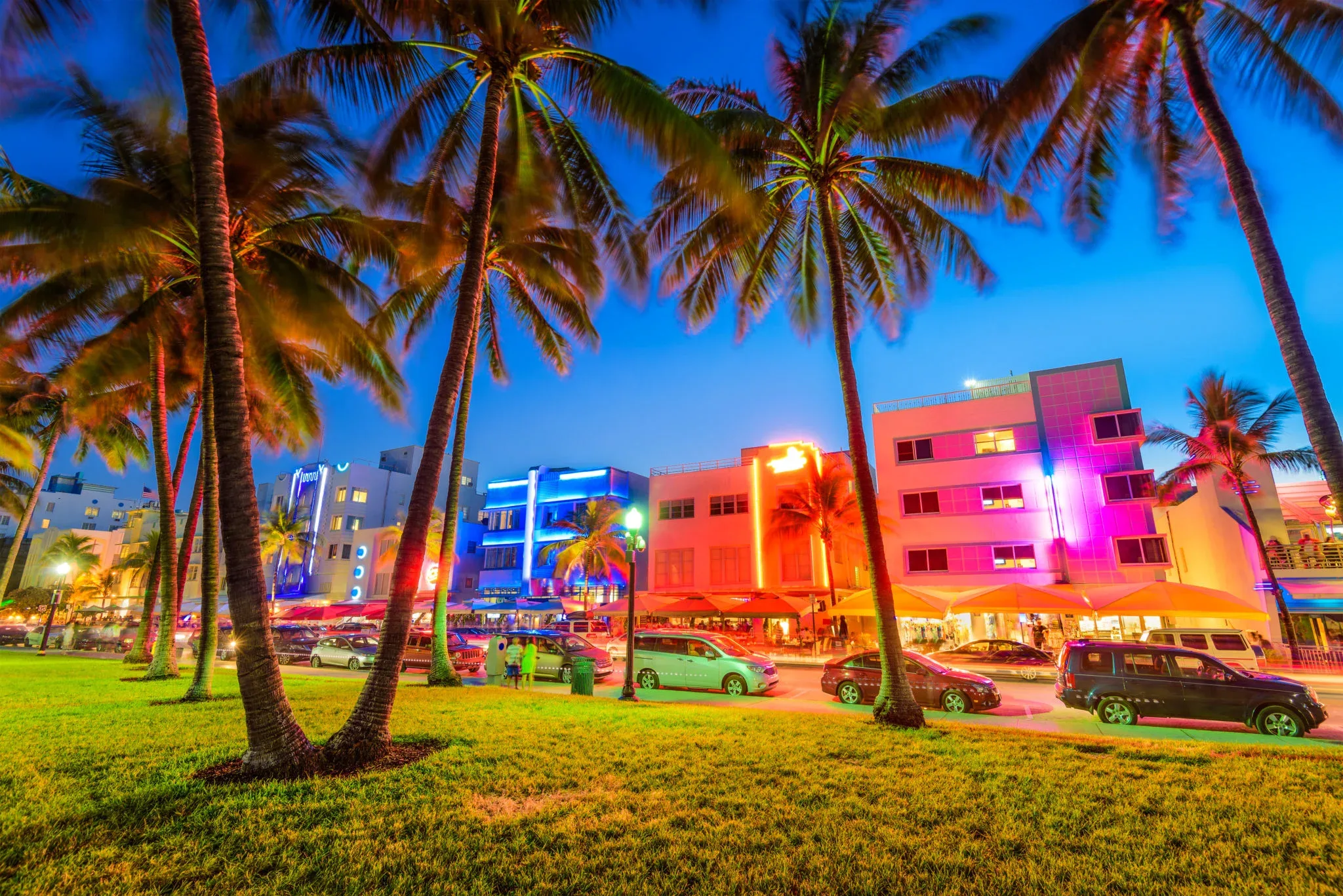 florida liquor license