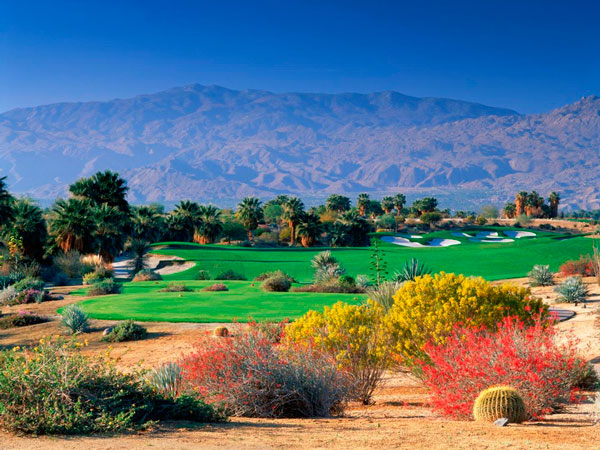 Palm-Desert-Liquor-LIcense